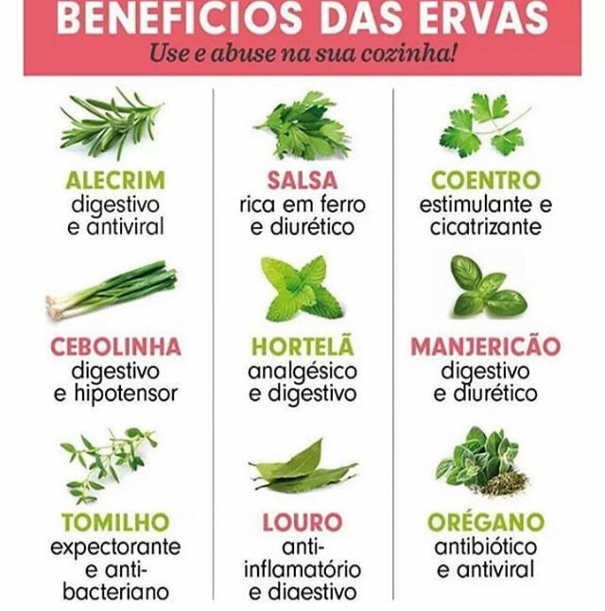 Benef cios Das Ervas Form Elegance